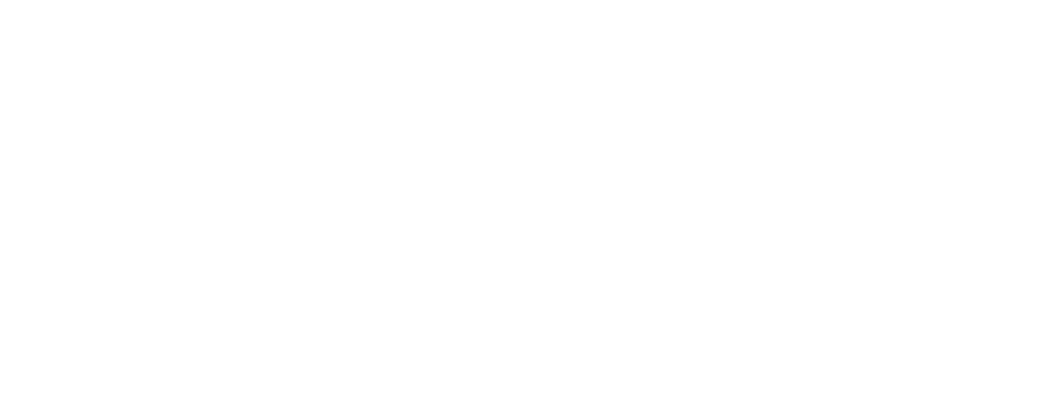 Kozyk Consultancy
